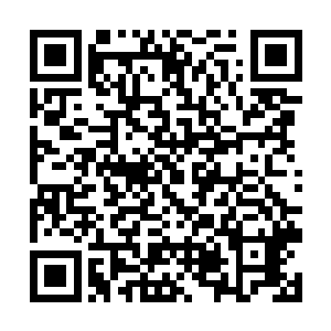 连一旁随着露出笑意的林安都囊括在了打击范围之内二维码生成