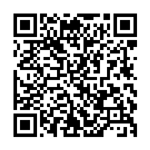连一直没有怎么明白他们说的是什么的小宝眉头都再一次锁紧二维码生成