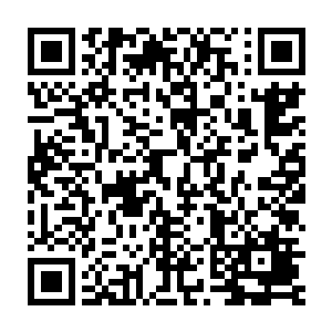 连一直都不怎么喜欢安静的墨在这个时刻也都一言不发的跟在身后二维码生成