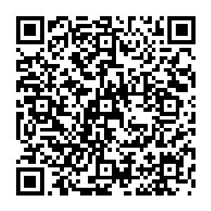 连东北督护府的督宰大人程洪烈在把10000名军官如约送到烛龙领让张铁锤炼培训之后二维码生成