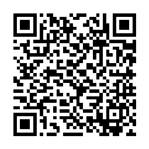连之前那些浮游一般的绿莹莹的东西都消散不见了二维码生成