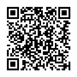 连五位堂叔幸幸苦苦为龙氏集团干了一辈子也才拿零点五成二维码生成