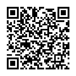 连他们自己都不知道自己的子弹打到什么地方去了二维码生成