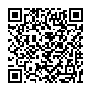 连他家两个继承人都帮着我处理两大仙域的商业二维码生成