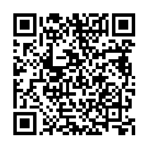 连他都有点吃不准外甥雷鹏是否可以拿下秦方了二维码生成