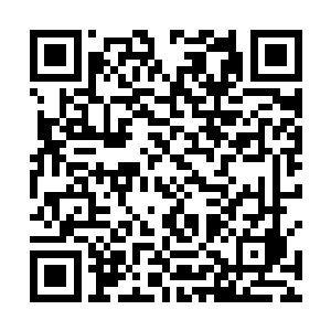 连传奇强者都泛滥的让世人打算重新考虑对他们的称呼二维码生成
