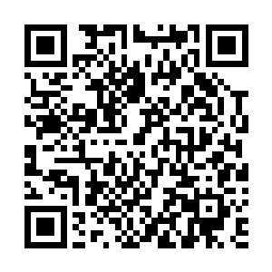 连俢肆柔情的指尖怜惜又满含深情的抚摸着身下她那张情二维码生成
