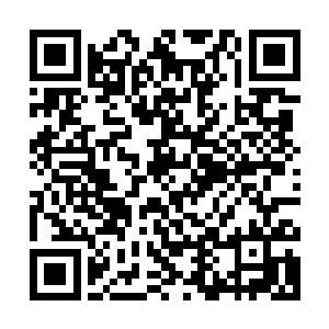 连元婴后期大修士没有特殊手段都无法伤损的七阶巅峰噬血妖藤二维码生成