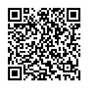 连内部与药园都与含灵阁中的千华苑一个模子刻出来一般二维码生成