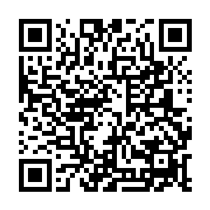 连出了大殿翻身上马的秦薇薇和绿柳也忍不住多看两眼二维码生成