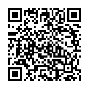 连刚才过去查探情况的同伴都没有丝毫气息流出二维码生成