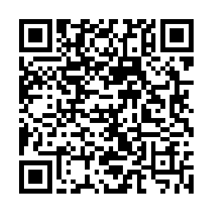 连前世的人参果都需要最低天仙仙境界才能够服用二维码生成