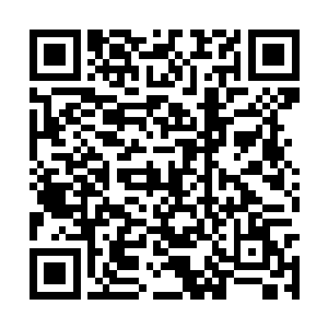 连化气小成的剑者都挡不住这头可怕的小血妖一爪二维码生成