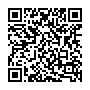 连十分之一都不到……面对如此庞大的势力前来归附二维码生成