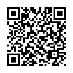 连卑微的人类都不愿意做你的朋友二维码生成