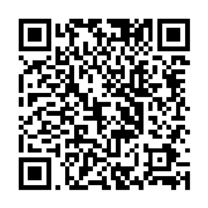 连原随云自己都不知道自己嘴边绽开了真挚的笑容二维码生成