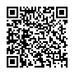 连同他们的巢穴乃至一切生存痕迹都灰飞烟灭之时二维码生成