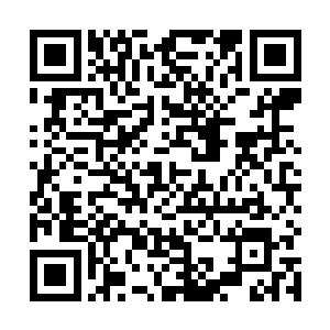 连基纽特战队那帮家伙都能在短时间内包抄到无双原北二维码生成