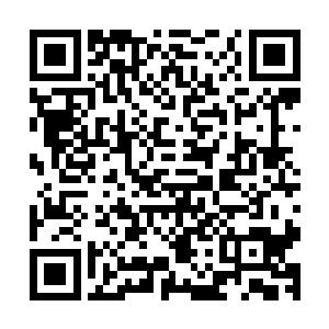 连大年初三时的女婿携妻回岳家的日子陆禹也没有带阿竹回去二维码生成