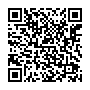 连大熊这样的深不可测的家伙在他面前都得小心翼翼的陪着二维码生成