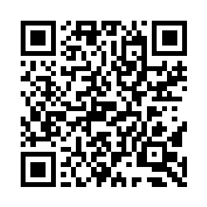 连大章鱼抱着不放的珊瑚礁给一起撞得垮塌了二维码生成