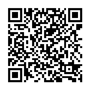 连大陆上的妖族也开始不断地和季若离产生了合作二维码生成