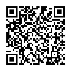 连套像样的房子都买不起……加上后面发生的一些事情二维码生成