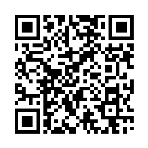 连她们见了也会惭愧的世上最漂亮的二维码生成