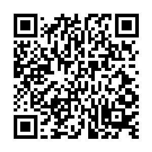 连她现在所在的地址也是我几次三番地追问她才告诉我的二维码生成