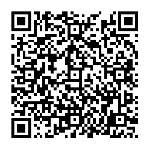 连她都觉得自己就像是一只孔雀要把自己最美丽的一面展现在众人尤其是萧樱面前二维码生成