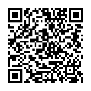 连媳妇姐姐此时此刻也石沉大海一般没有了音讯二维码生成