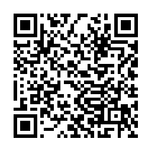 连孙玉什么时候从龙谷中回来的事都被他们淡忘了二维码生成