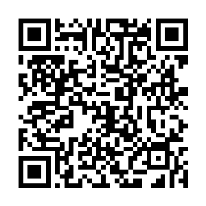 连孙玉婷都带着一帮导演系的和表演系的杀过来了二维码生成