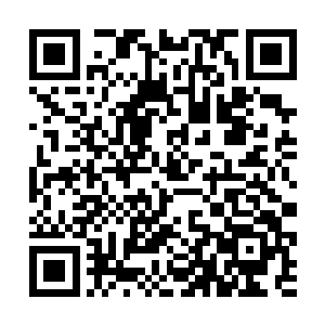 连学问很大的老夫子都乐意将一些书籍让孩子带回家二维码生成