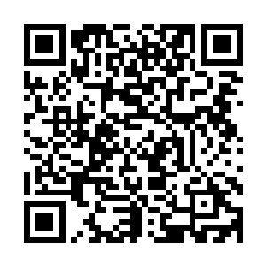 连崔教授和奥里布两人都像是要把自己的眼珠子给瞪出来似的二维码生成