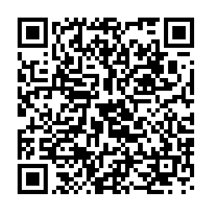 连市委市政府集体决定推荐的人选未必能获得上级组织部门的认可二维码生成