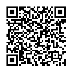 连师父一向嘱咐的远离朝廷中人的话都抛在了脑后二维码生成