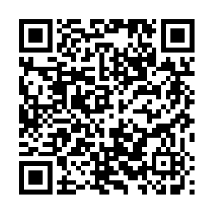 连带你全家乃至你相关的一应人事物全部都要给你陪葬二维码生成