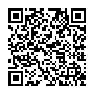 连带着也教训一下这个不带把的不能给张家传宗接代的赔钱货二维码生成