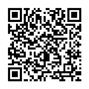 连带着几百个强大的气海境剑者以及其他的剑者们全部都听到二维码生成
