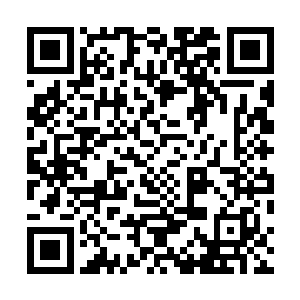 连带着圣城里面的千万人类一同纳入自己的神国倒影之中二维码生成