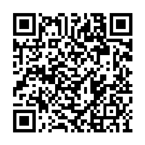 连带着对这只林烽带来的寻宝鼠也没有什么好感二维码生成