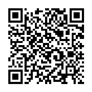 连带着望向陈家老者的目光之中也充满了浓浓的不满二维码生成