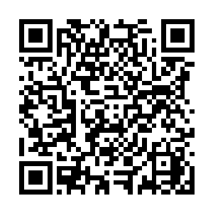 连带着王靖露她妈也靠着这些地产买卖和租赁生意二维码生成