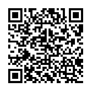 连带着苏元也是知晓的甚至于家里面也是调查的很是仔细二维码生成