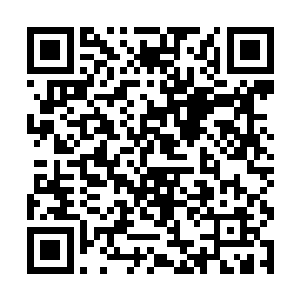 连带着许多狂热粉丝都每天长时间守候在练习室门口二维码生成