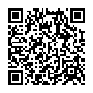 连带着还有相当的东西都放置到了四合院的后院二维码生成