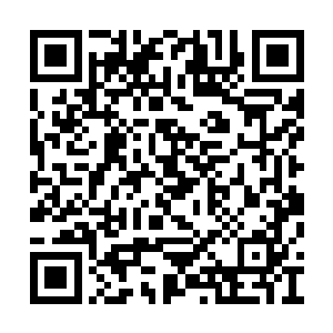 连带自己的一些猜测也都是跟傅清林汇报了一下二维码生成