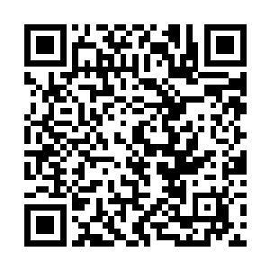 连庞伟兵这个刑警队的格斗冠军战神也不是他的对手二维码生成