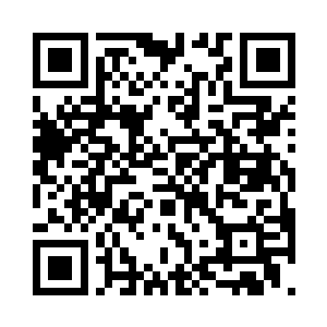 连开什么颜色什么品牌的车都推出来了二维码生成